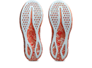 Chaussures de course Asics Noosa Tri 16 (homme)