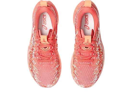 Asics Noosa Tri 16 Chaussures Course (femme)