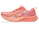 Chaussures de course Asics Noosa Tri 16 (femme)