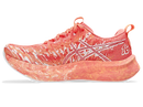 Chaussures de course Asics Noosa Tri 16 (femme)