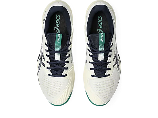 Asics Solution Speed FF 3 Chaussures Tennis (homme)