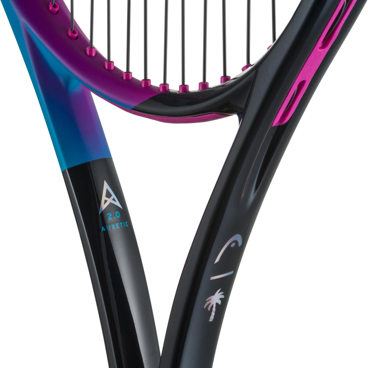 Head Radical MP Palm Tree Crew 2025 (unroped)