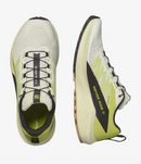 Salomon Sense Ride 5 Chaussures Course (homme)