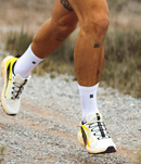 Salomon Sense Ride 5 Chaussures Course (homme)