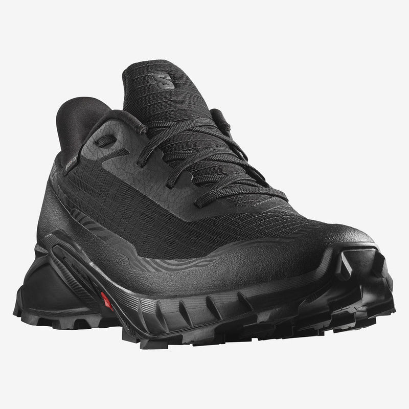 Salomon Alphacross 5 GTX (homme)