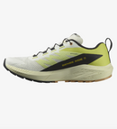 Salomon Sense Ride 5 Chaussures Course (homme)