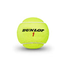 Dunlop Balles ATP Championship Regular Duty (1 tube)