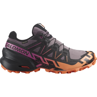 Salomon Speedcross 6 GTX Chaussures Course (femme)