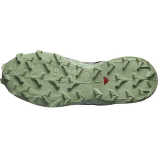Salomon Speedcross 6 Chaussures Course (femme)