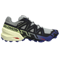 Chaussures de trail Salomon Speedcross 6 GTX (homme)