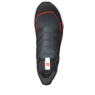 Salomon Thundercross GTX Chaussures Course (homme)