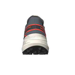 Salomon Thundercross GTX Chaussures Course (homme)