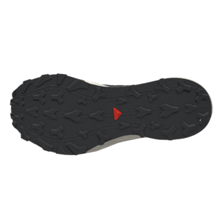 Salomon Thundercross GTX Chaussures Course (homme)