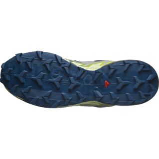 Salomon Speedcross 6 Chaussures Course (homme)
