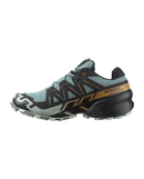 Chaussures de trail Salomon Speedcross 6 GTX (homme)