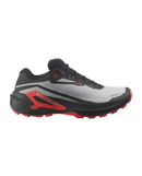 Chaussures de trail Salomon Genesis 2 GTX (homme)