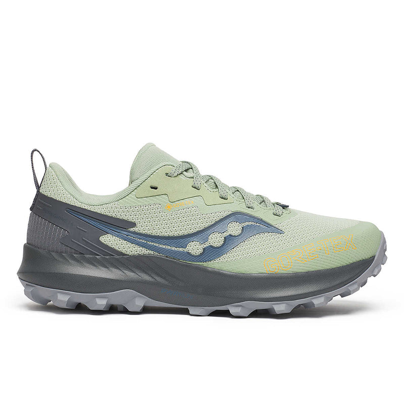 Saucony Peregrine 14 GTX Chaussures Course (femme)