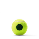 Wilson Balles US Open Green Tournament (24 tubes)