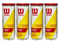 Wilson Balles Championship Extra Duty (4 tubes)