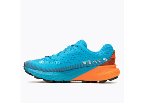 Merrell Agility Peak 5 GTX Chaussures Course (homme)