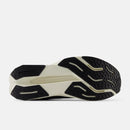 NB FuelCell Propel v5