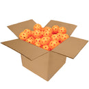 Onix Fuse Balles Pickleball Intérieur (100 balles)