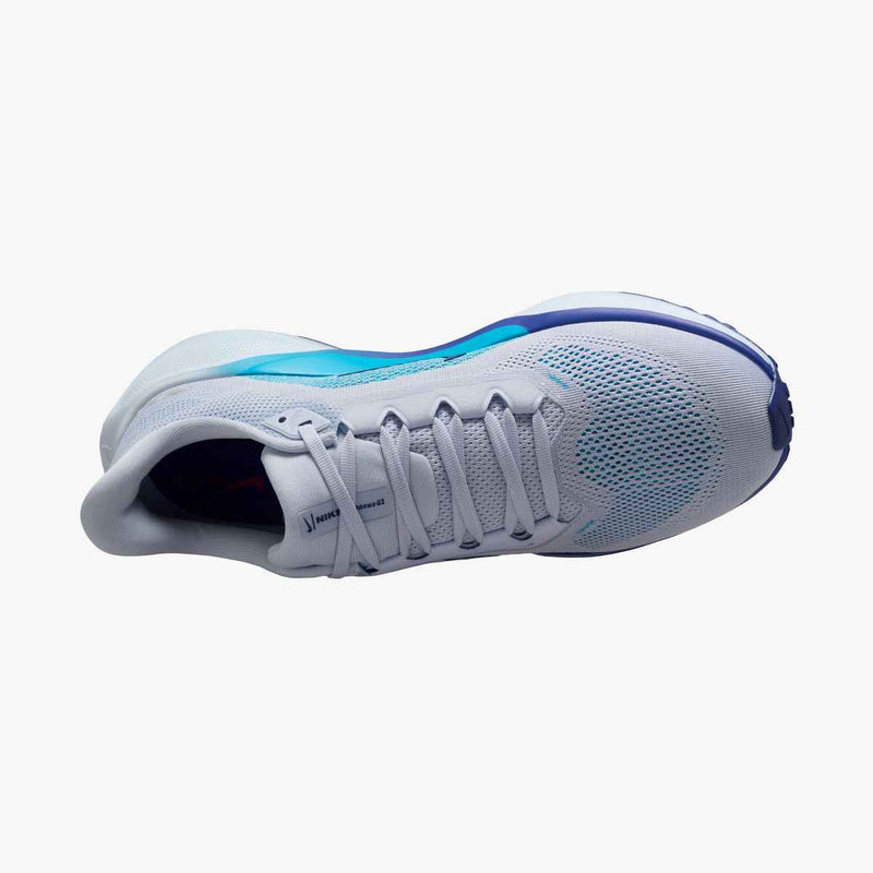 Nike Air Zoom Pegasus 41 Chaussures Course (homme)