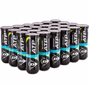 Dunlop Balles ATP Championship Regular Duty (24 tubes)