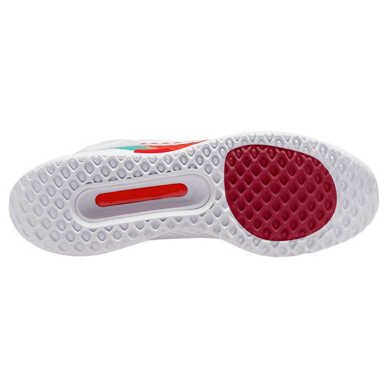Nike Court Zoom pro (Homme)