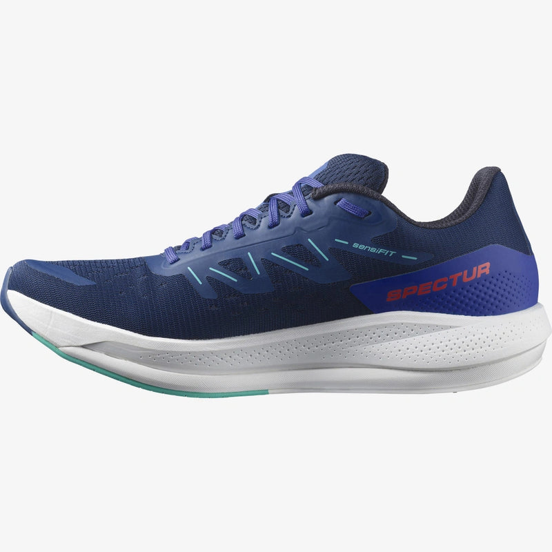 Salomon Spectur Chaussures Course (Homme)